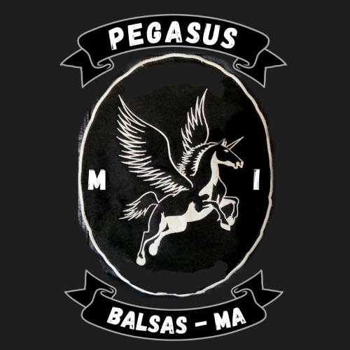 pgasus-logo